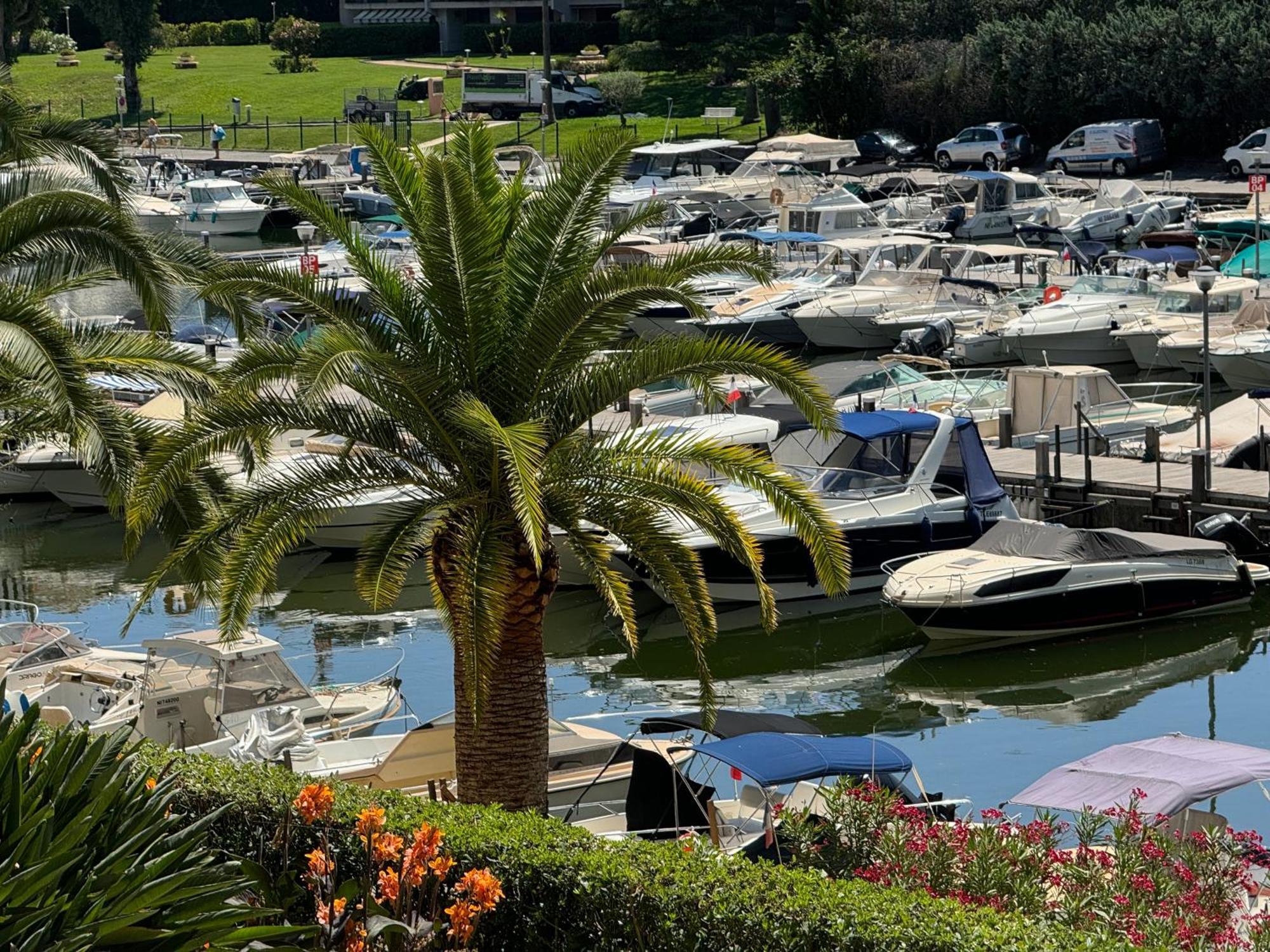 My Resid Appart Cannes Marina Vue Piscine Mandelieu Eksteriør bilde